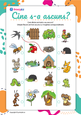Cine s-a ascuns: lumea animalelor