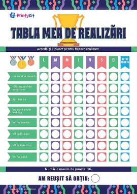 Rezumatul propriilor realizări