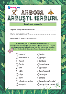 Diferențiem copacii, arbuștii, ierburile