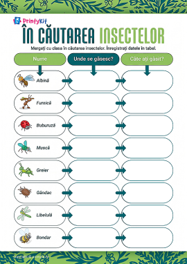 În căutarea insectelor: completăm tabelul