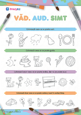 „Văd. Aud. Simt”: descriem simțurile