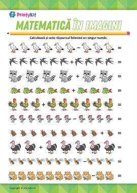 Matematică în imagini: calculăm exerciții