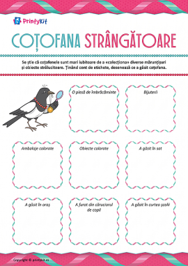Coțofana strângătoare: gândim și desenăm