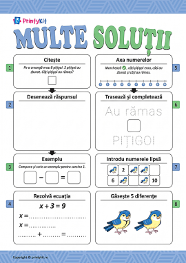 Multe soluții: rezolvăm sarcini matematice