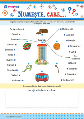 Numim obiectul: determinăm caracteristicile acestuia