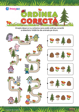 Ordinea corectă: dezvoltarea atenției