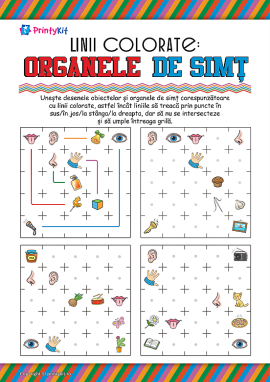 Linii colorate: organele de simț