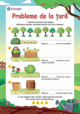 Probleme de la țară: rezolvăm probleme simple de diferite tipuri