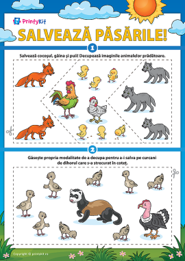 Salvăm păsările: învățăm să decupăm