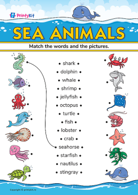 Sea animals (animale marine): învățăm denumirile animalelor marine în limba engleză