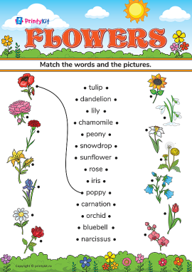 Flowers (Flori): învățăm denumirile florilor în limba engleză