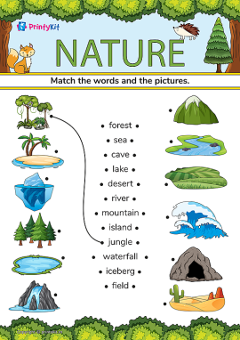 Nature (Natură): învățăm fenomenele naturii în limba engleză