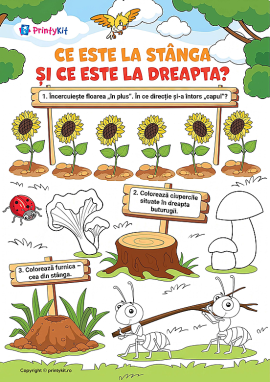 Ce este la stânga și ce este la dreapta?