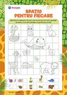 Spațiu pentru fiecare: învățăm să numărăm