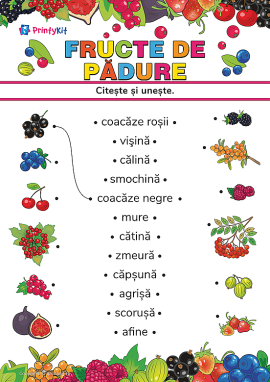 Citește și unește cuvintele cu imaginile pe tema „Fructe de pădure”