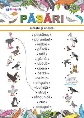 Citește și unește cuvintele cu imaginile pe tema „Păsări”