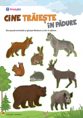 Animale sălbatice: loto cu umbre pentru copii