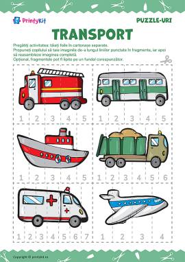 Transport și vehicule speciale: asamblarea imaginii din piese