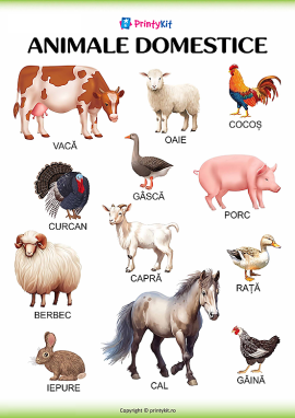 Animale domestice: poster ilustrativ pentru copii