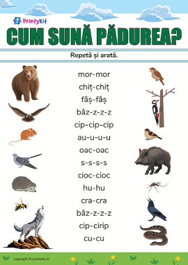 Cum comunică animalele în pădure: sunetul animalelor, onomatopee