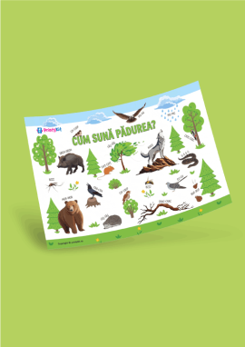 În pădure: repetăm suneturile animalelor, onomatopeele