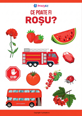 Culoarea roșie: învățăm culorile prin imagini