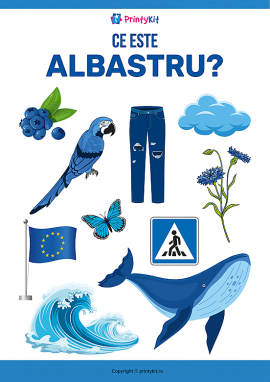 Culoarea albastră: învățăm culorile prin imagini