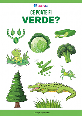 Culoarea verde: învățăm culorile