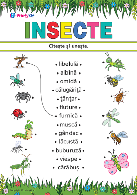 Citește și unește cuvintele cu desenele pe tema „Insecte”