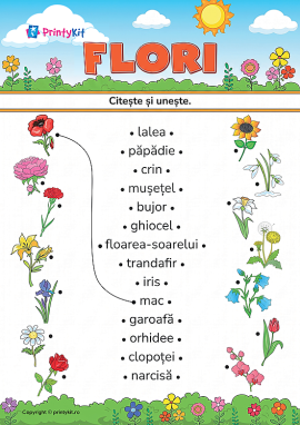 Citește și unește cuvintele și desenele pe tema „Flori”
