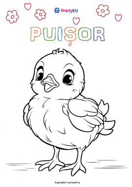 Planșă de colorat „Puișor”