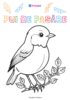 Planșă de colorat „Pui de pasăre”