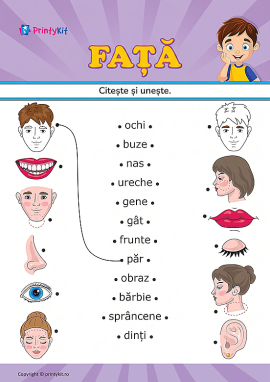 Citește și unește cuvintele cu imaginile cu tema „Față”
