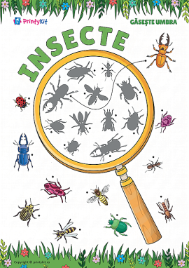 Găsește umbra insectei: activitate didactică pentru preșcolari