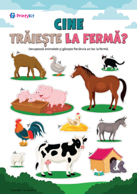 Animale domestice: activitate practică didactică pentru copii