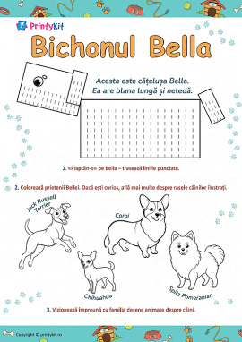 Bichonul Bella: dezvoltarea motricității 