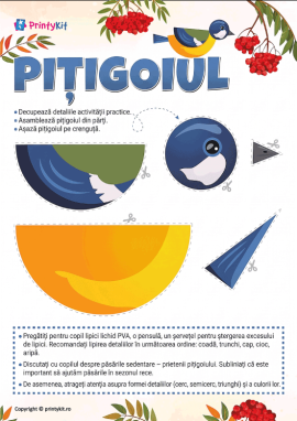 Pițigoiul: activitate practică cu forme geometrice