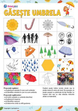 Imagini neidentice: dezvoltarea gândirii asociative și abstracte
