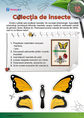 Colecție de insecte: explorăm lumea animalelor