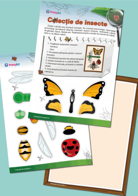 Colecție de insecte: explorăm lumea animalelor