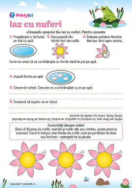Iazul cu nuferi: experimentăm