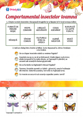 Explorăm comportamentul insectelor toamna