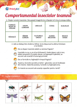 Explorăm comportamentul insectelor toamna