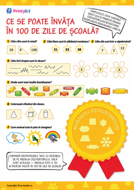 Ce poți învăța în 100 de zile de școală?