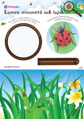 Insecte: activitate practică pentru preșcolari
