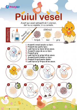 Puișorul vesel: activitate practică cu cereale
