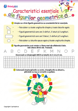 Care sunt caracteristicile figurilor geometrice?