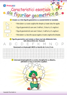 Care sunt caracteristicile figurilor geometrice?