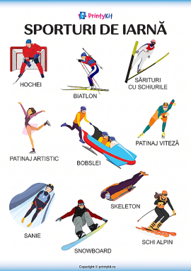 Sporturile de iarnă – poster informativ vizual