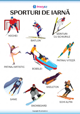 Sporturile de iarnă – poster informativ vizual